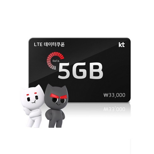 LTE 데이터쿠폰 5GB