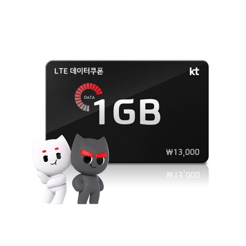 LTE 데이터쿠폰 1GB