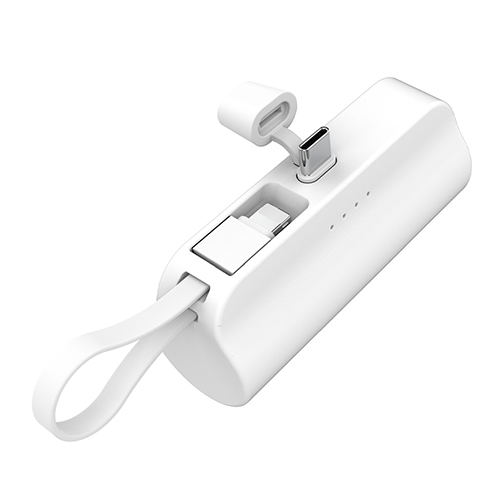 애니클리어 휴대용 도킹형 듀얼미니보조배터리 5000mAh 이미지